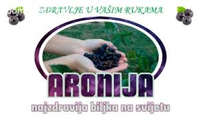 Sok od aronije