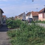 Kišni vrtovi u Valpovu idu na popravni!