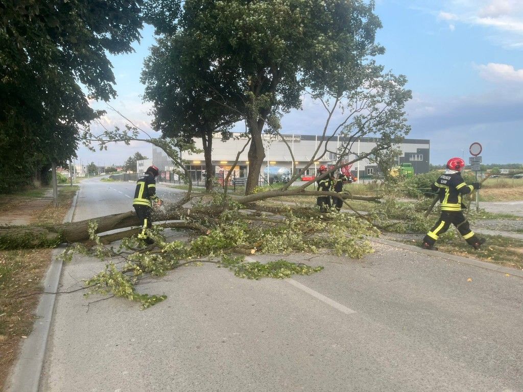 Vjetar srušio stablo