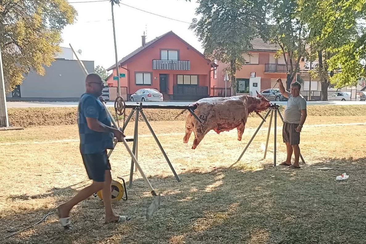 Udruga Ladimirevački kotlić pečenjem vola obilježila Dan domovinske zahvalnosti